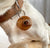 Halsbandtasche MONTI aus Leder für Hundemarke, Steuermarke, Tassomarke