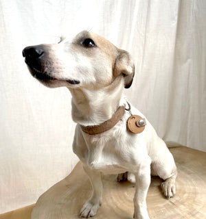 Halsbandtasche MONTI aus Leder für Hundemarke, Steuermarke, Tassomarke
